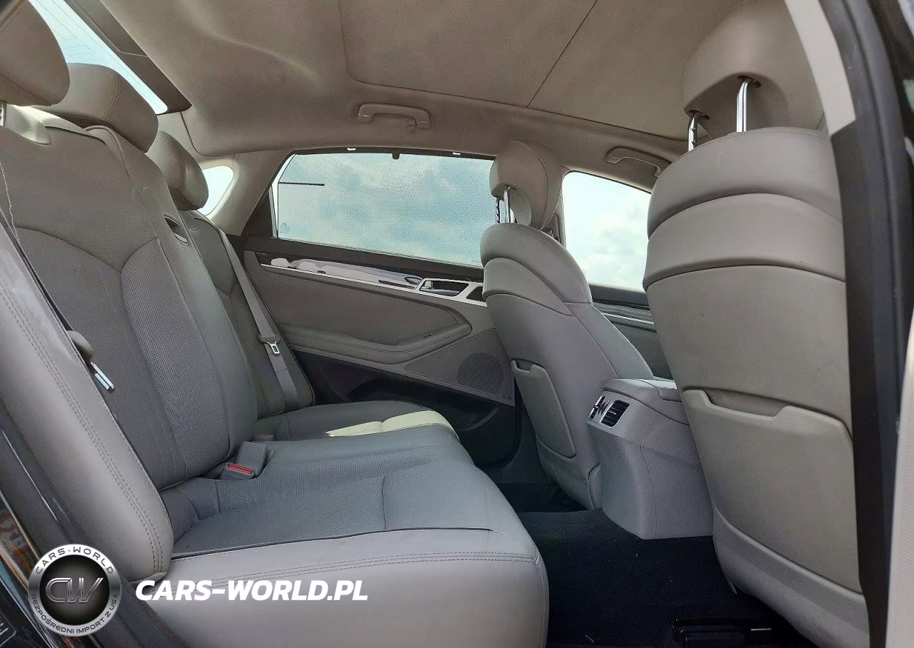 2015 Hyundai Genesis 3.8L VIN:KMHGN4JE2FU090038 - 10