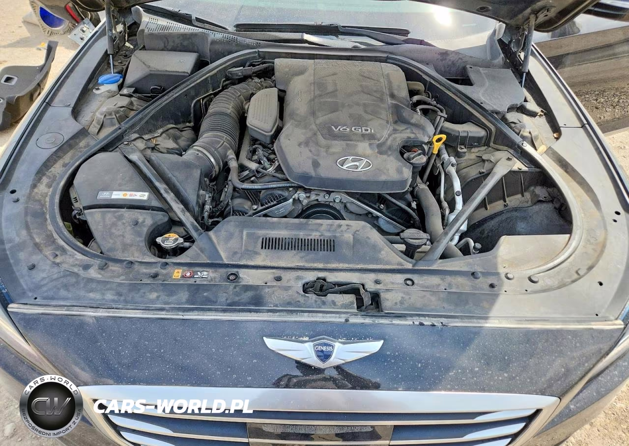 2015 Hyundai Genesis 3.8L VIN:KMHGN4JE2FU090038 - 11