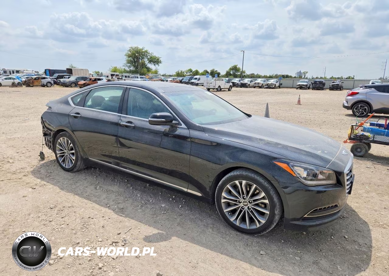 2015 Hyundai Genesis 3.8L VIN:KMHGN4JE2FU090038 - 4