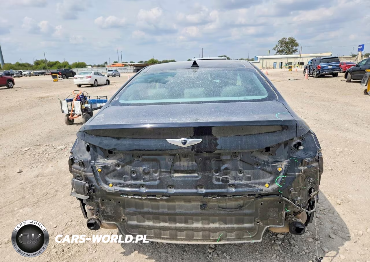 2015 Hyundai Genesis 3.8L VIN:KMHGN4JE2FU090038 - 6