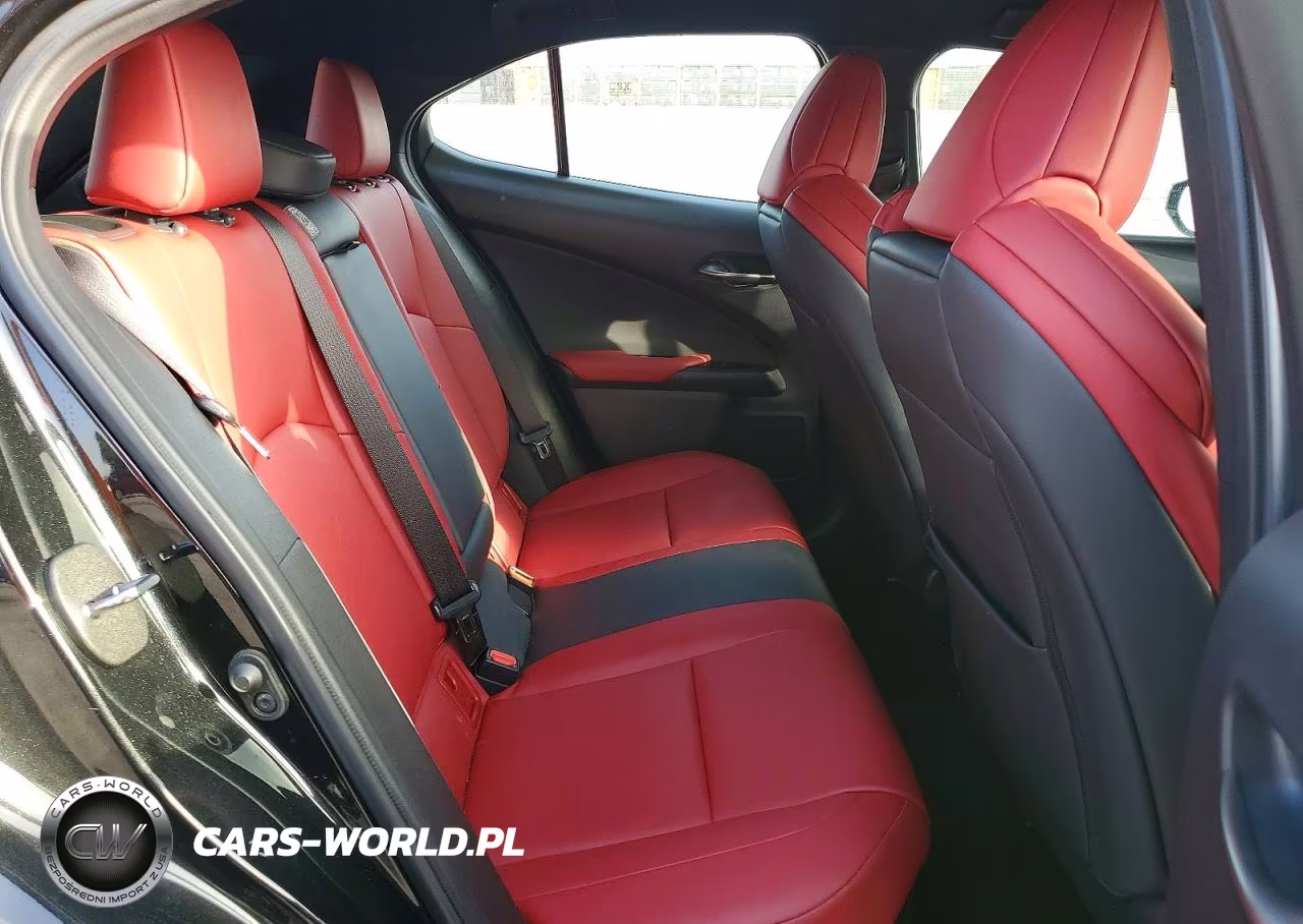2022 Lexus Ux 250H F Sport VIN:JTHE9JBHXN2058440 - 10