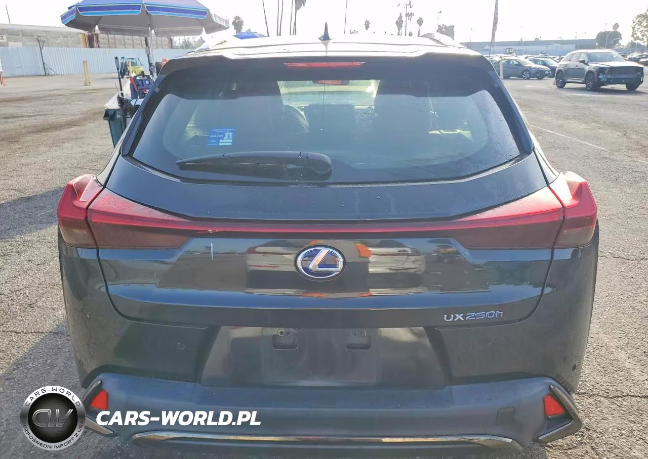2022 Lexus Ux 250H F Sport VIN:JTHE9JBHXN2058440 - 6