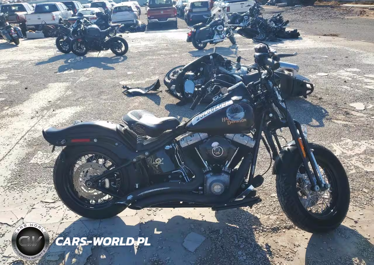 2009 Harley-Davidson Flstsb