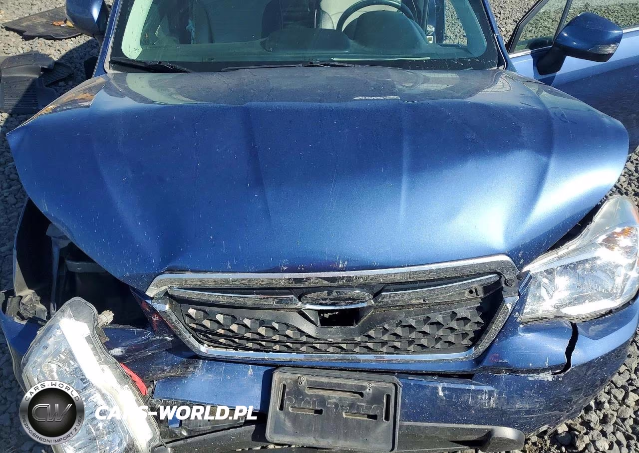 2014 Subaru Forester 2.5I Touring VIN:JF2SJAMC0EH538479 - 12