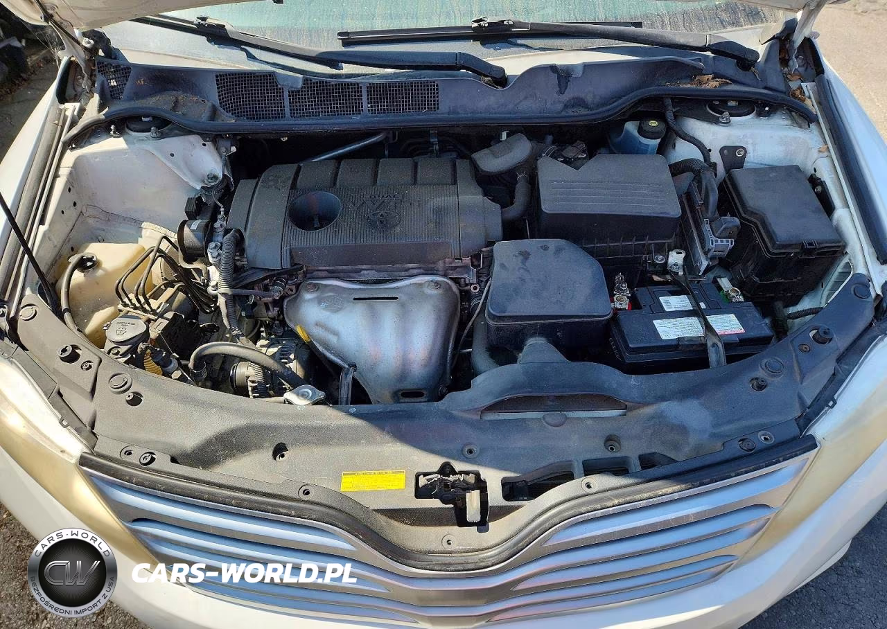 2010 Toyota Venza Fwd 4Cyl VIN:4T3ZA3BB9AU030017 - 12