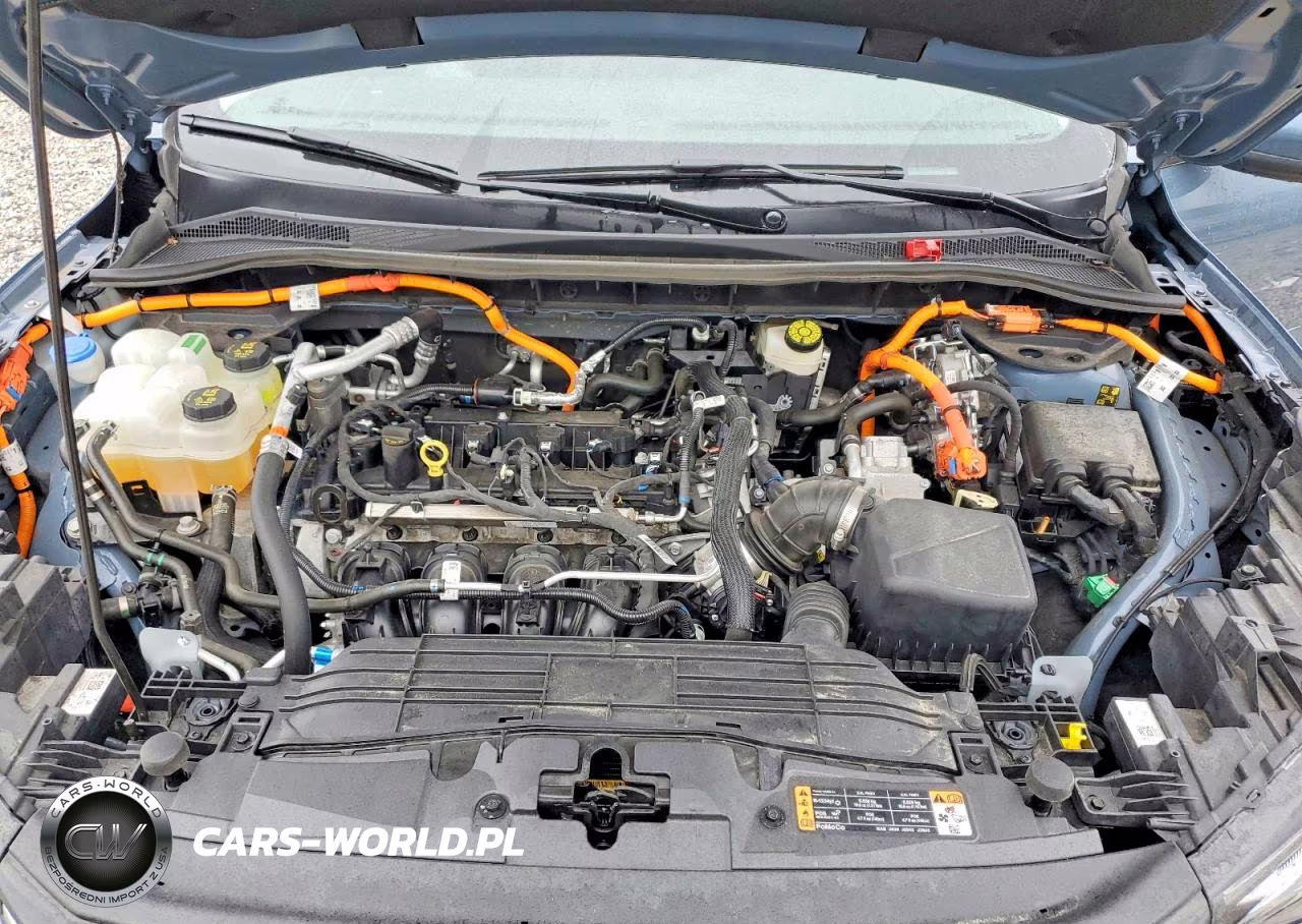 2025 Ford Escape VIN:1FMCU0E12SUA56256 - 12