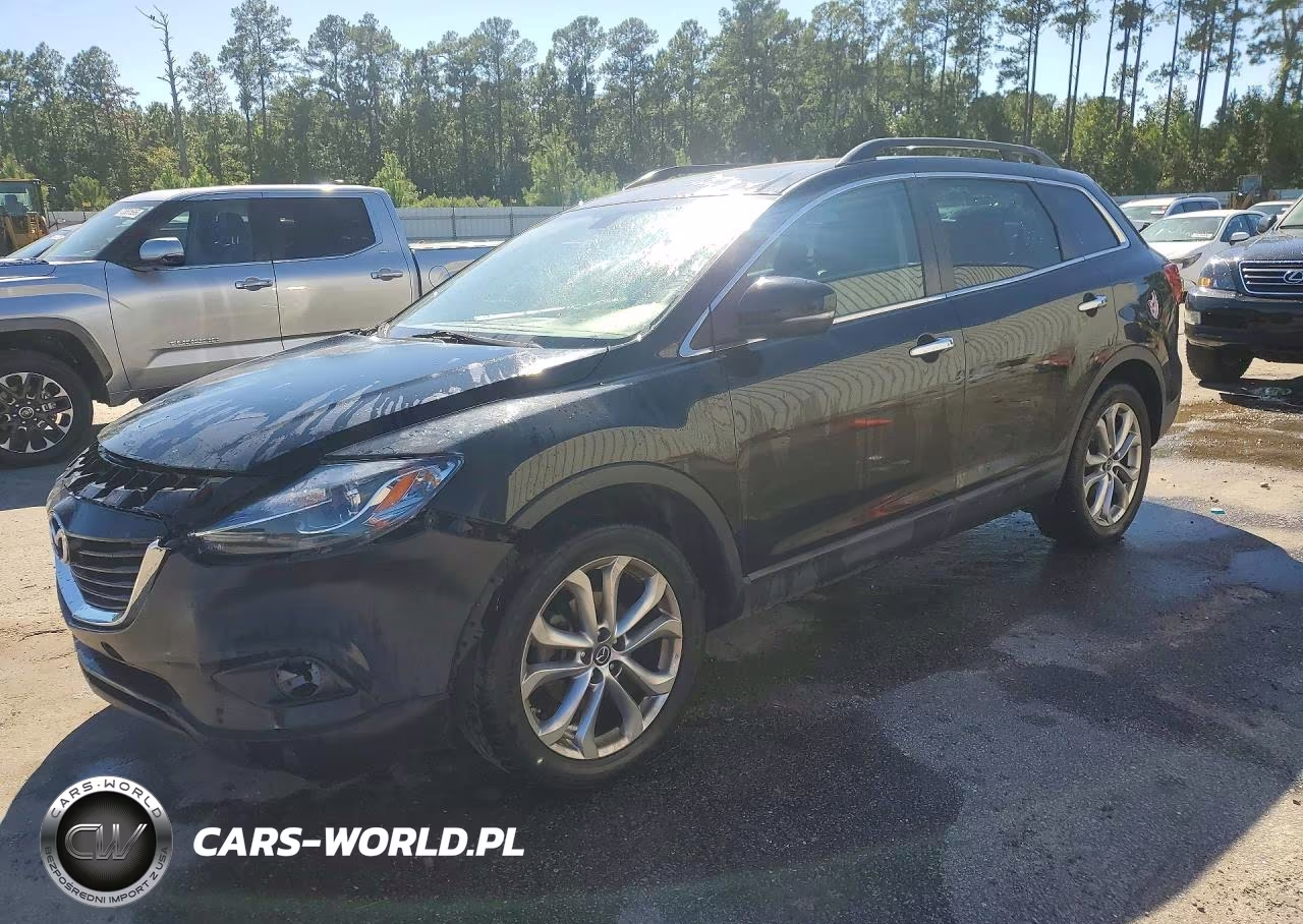 MAZDA CX-9 GRAND VIN:JM3TB2DA9D0402943 - 1
