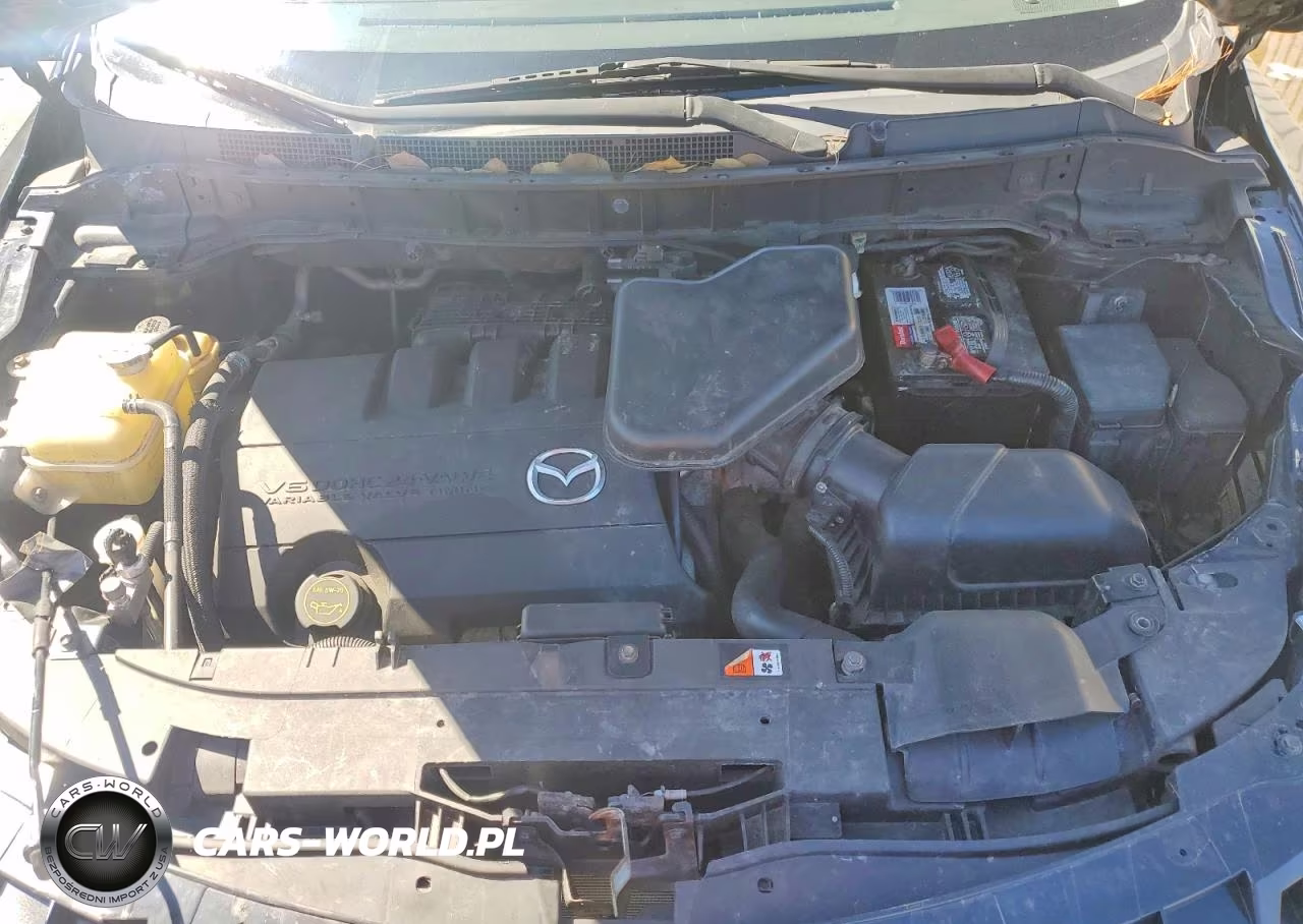 MAZDA CX-9 GRAND VIN:JM3TB2DA9D0402943 - 12