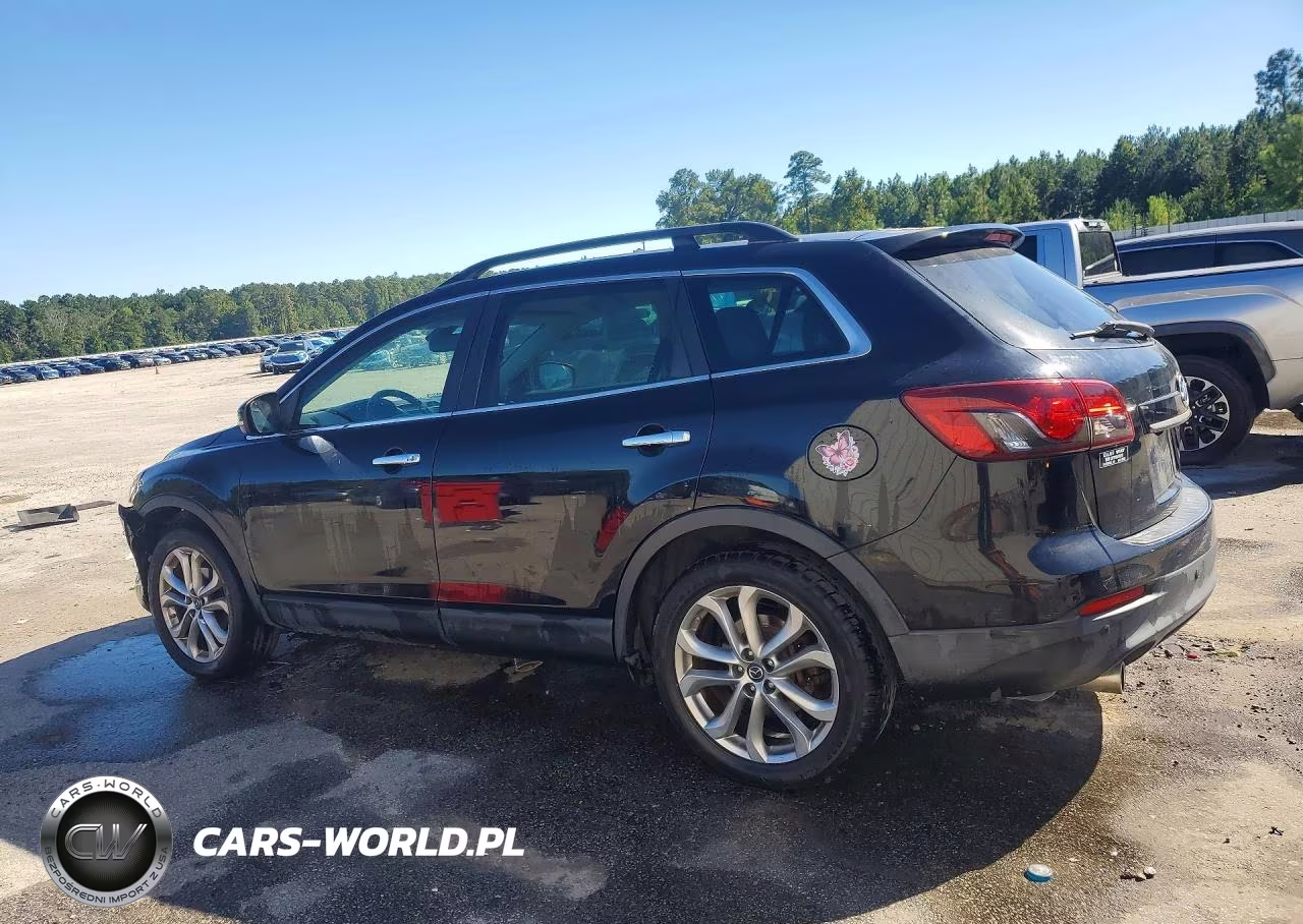 MAZDA CX-9 GRAND VIN:JM3TB2DA9D0402943 - 2