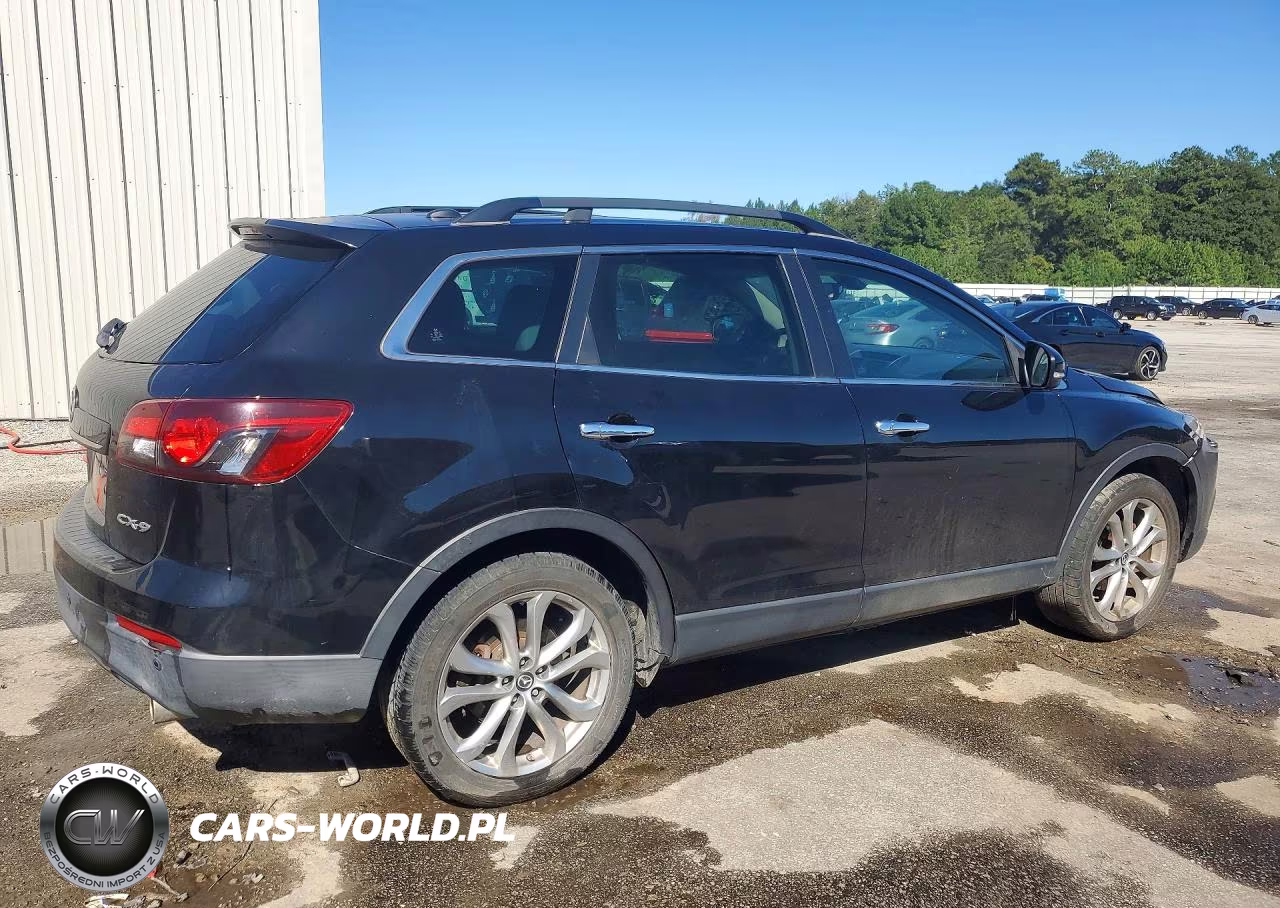 MAZDA CX-9 GRAND VIN:JM3TB2DA9D0402943 - 3