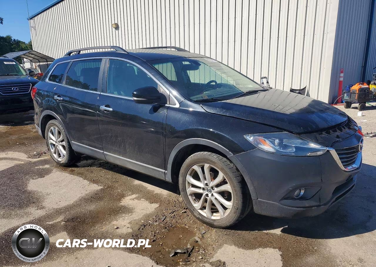 MAZDA CX-9 GRAND VIN:JM3TB2DA9D0402943 - 4