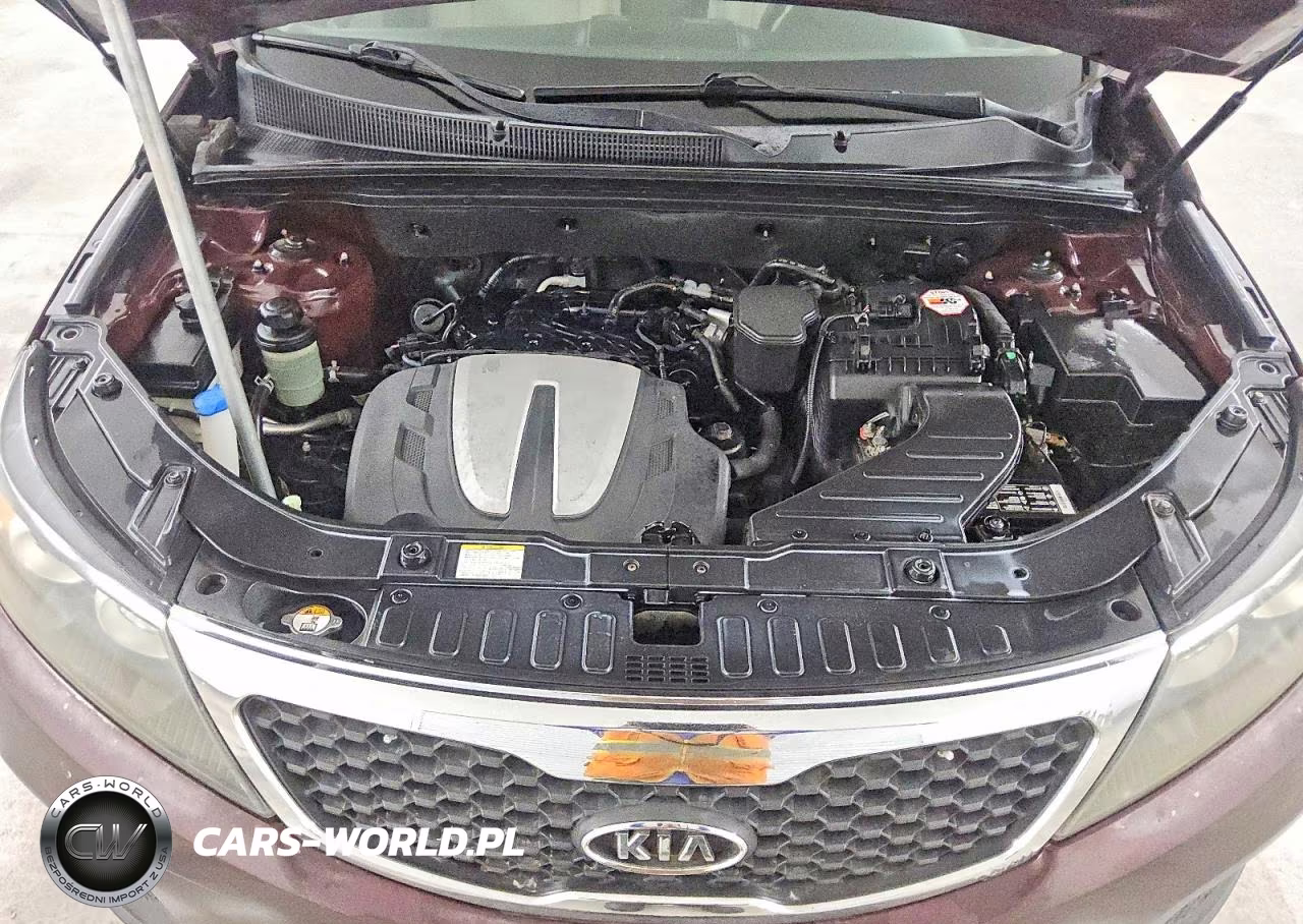 2013 Kia Sorento Lx VIN:5XYKT4A25DG388835 - 12