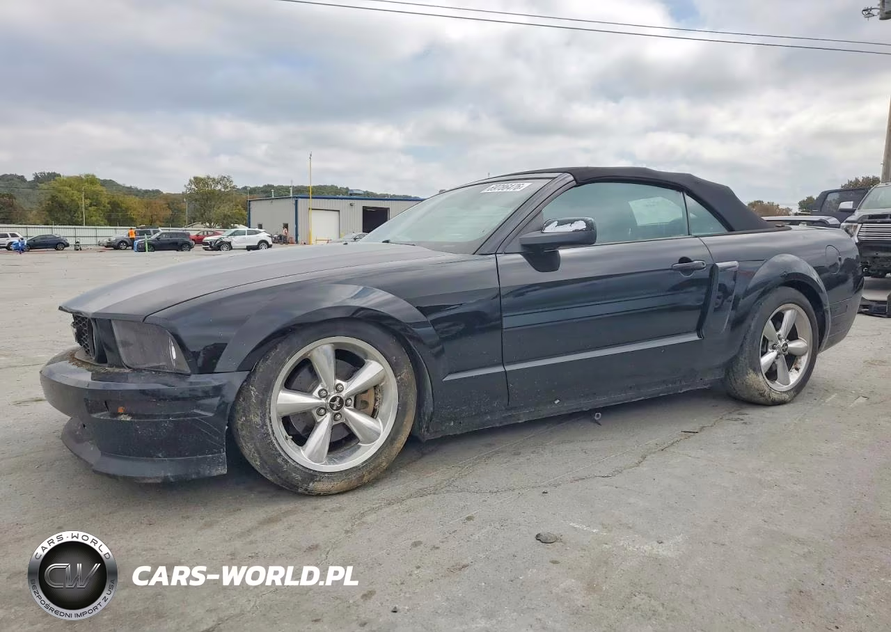 2008 Ford Mustang Gt VIN:1ZVHT85H485117731 - 1