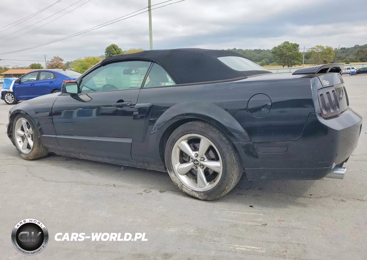2008 Ford Mustang Gt VIN:1ZVHT85H485117731 - 2