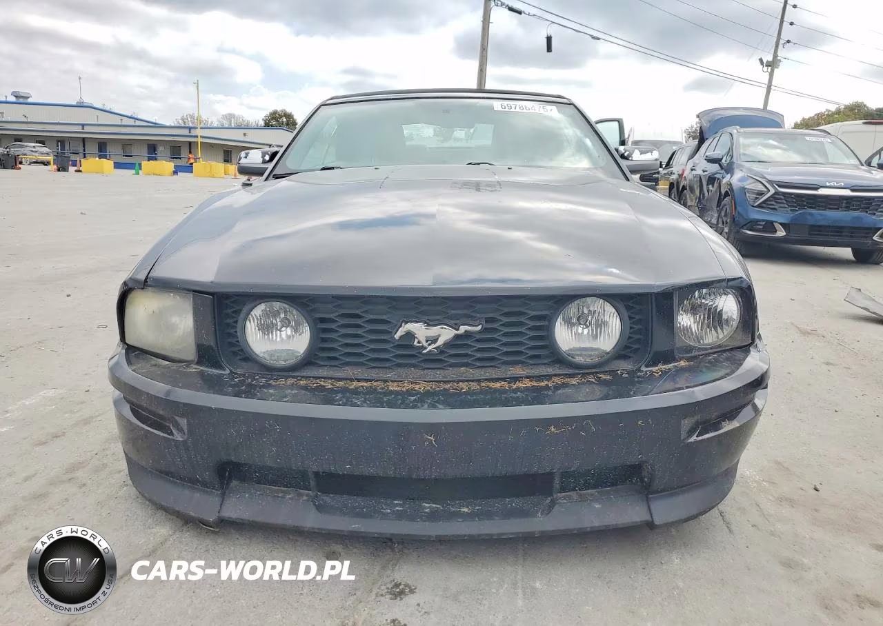 2008 Ford Mustang Gt VIN:1ZVHT85H485117731 - 5