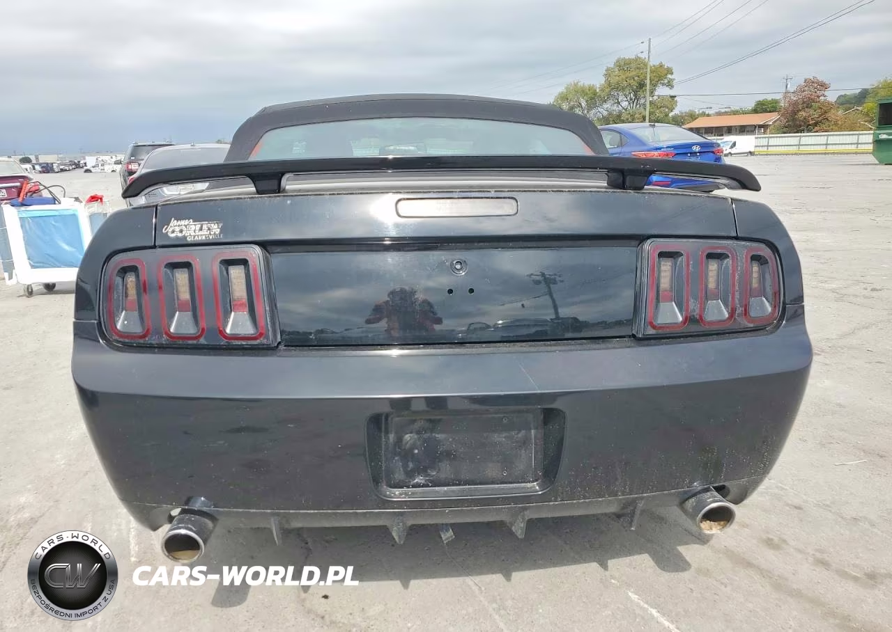 2008 Ford Mustang Gt VIN:1ZVHT85H485117731 - 6