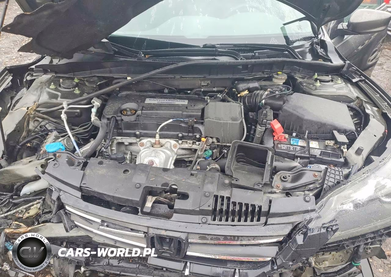 2014 Honda Accord Lx VIN:1HGCR2F34EA255916 - 11