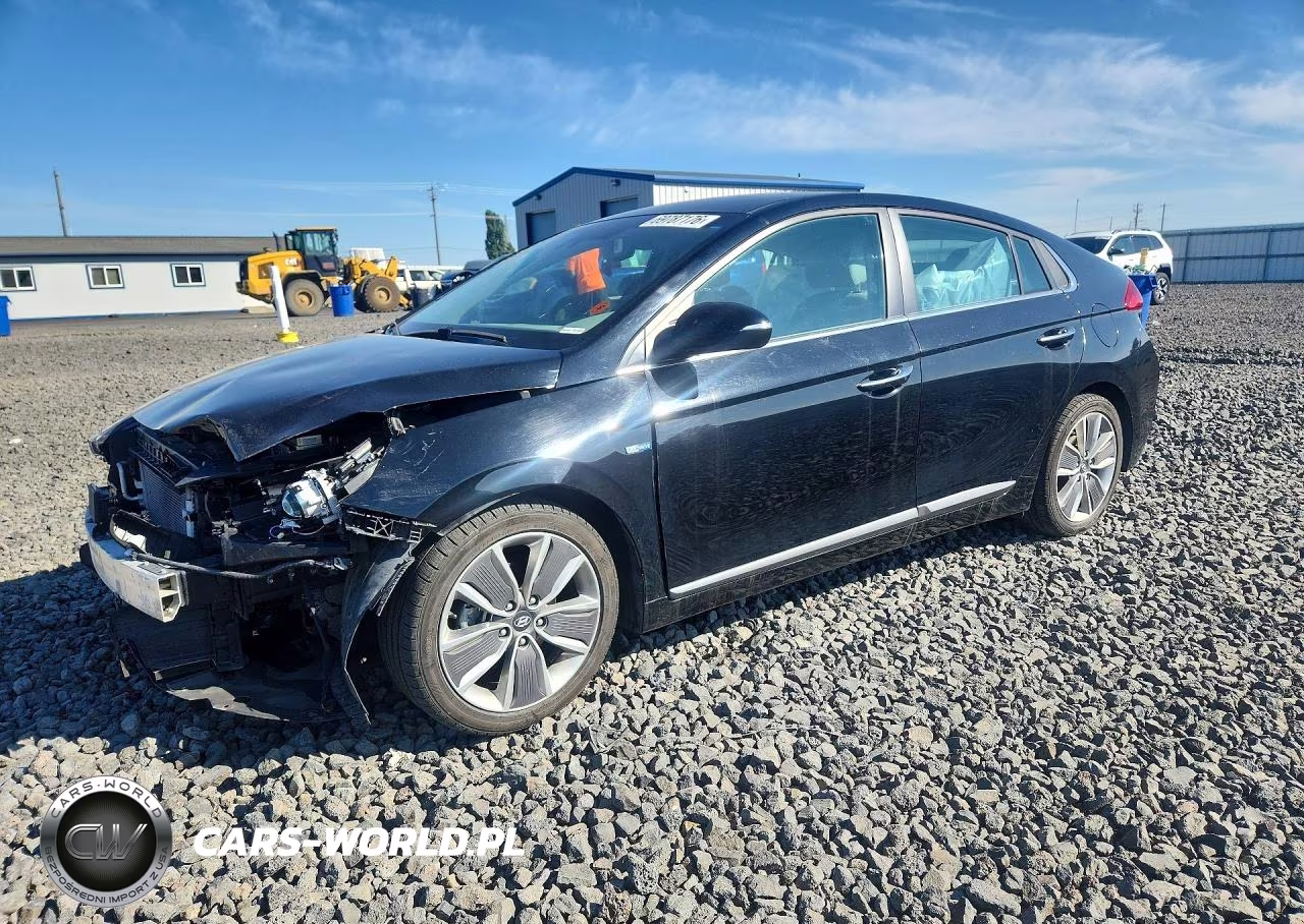 2019 Hyundai Ioniq Limited VIN:KMHC05LC4KU114901 - 1