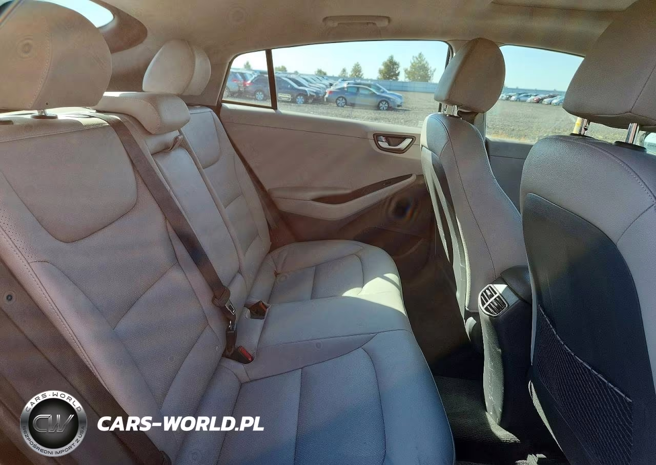 2019 Hyundai Ioniq Limited VIN:KMHC05LC4KU114901 - 10