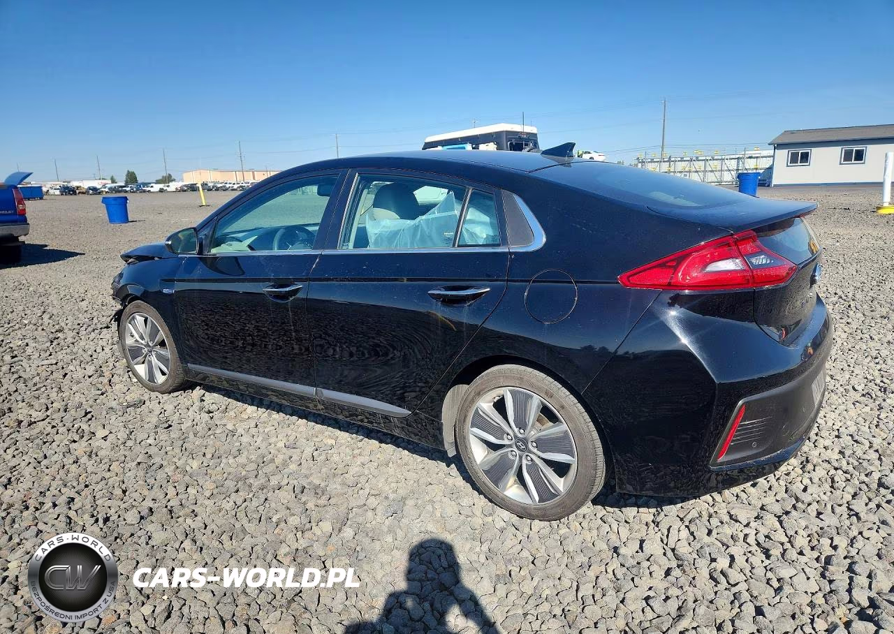 2019 Hyundai Ioniq Limited VIN:KMHC05LC4KU114901 - 2