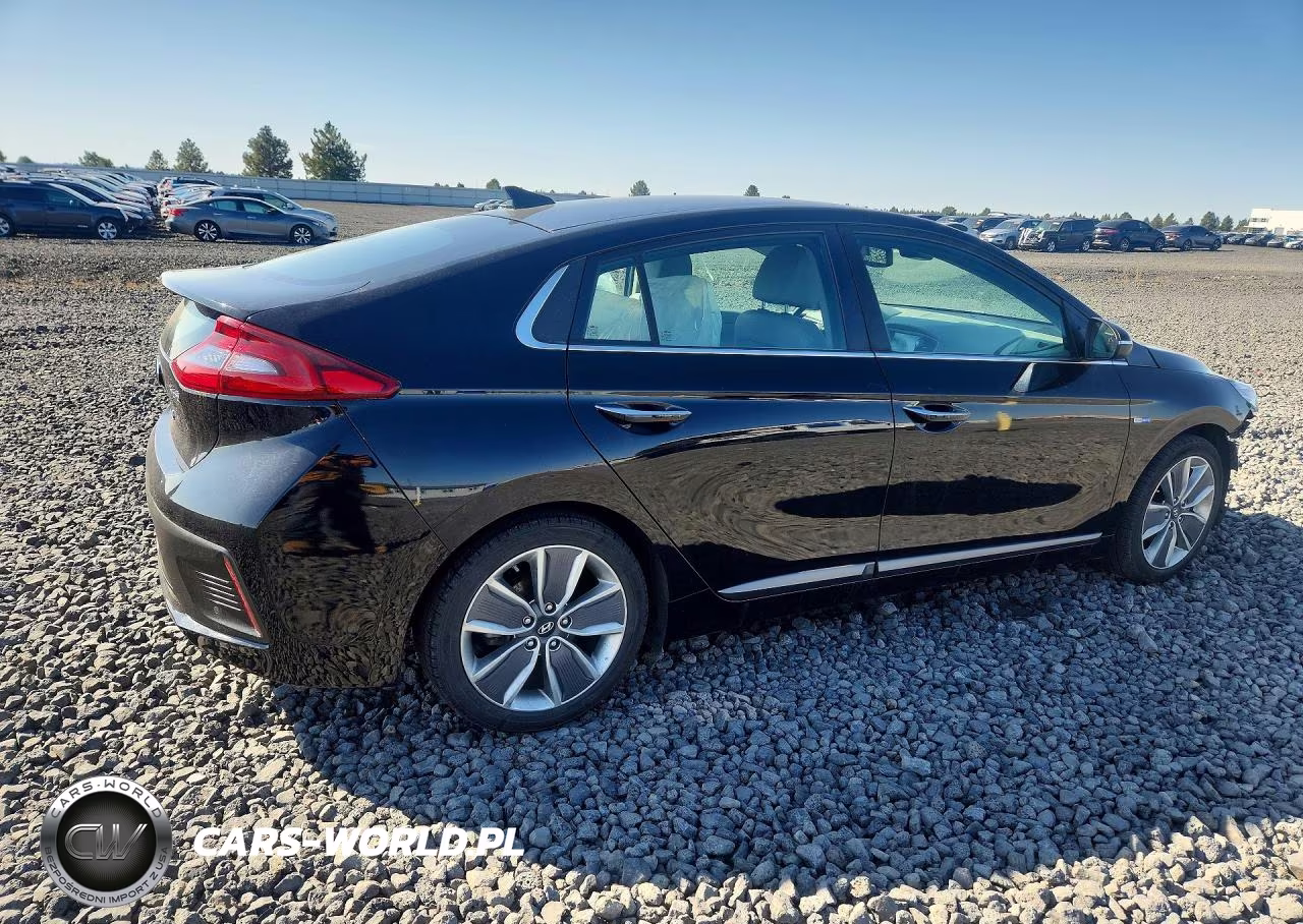2019 Hyundai Ioniq Limited VIN:KMHC05LC4KU114901 - 3