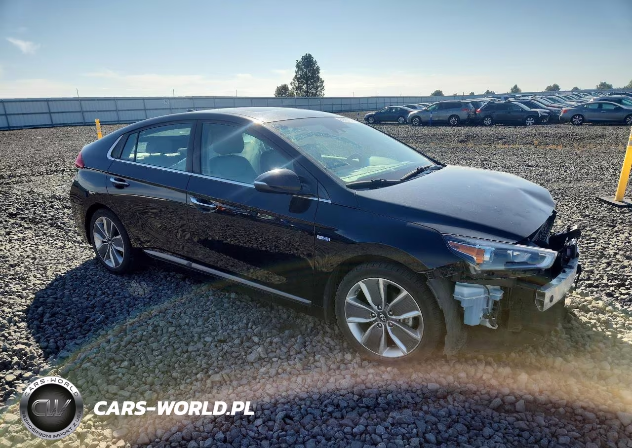 2019 Hyundai Ioniq Limited VIN:KMHC05LC4KU114901 - 4