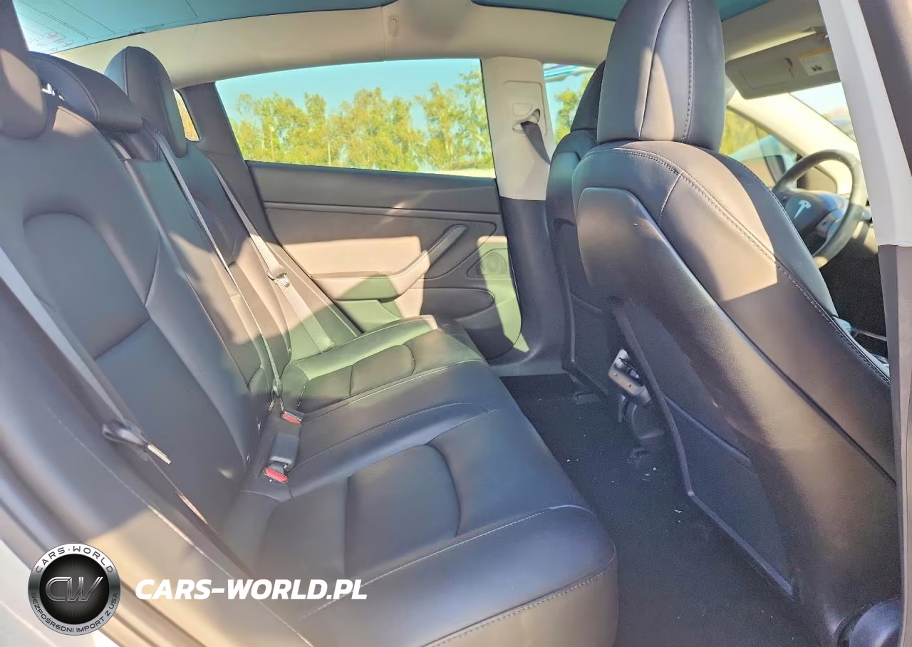 2019 Tesla Model 3 VIN:5YJ3E1EA1KF483721 - 10