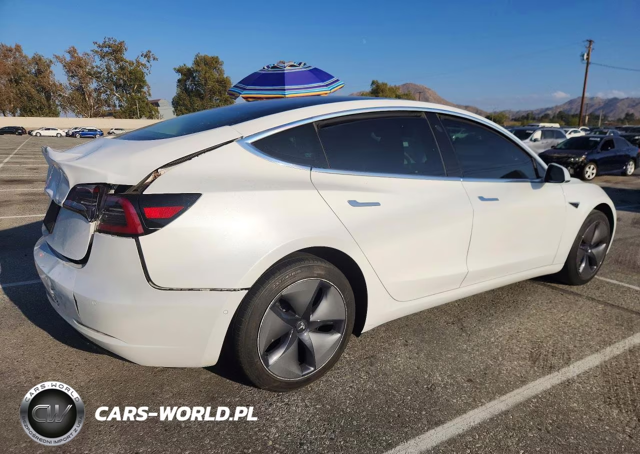 2019 Tesla Model 3 VIN:5YJ3E1EA1KF483721 - 3