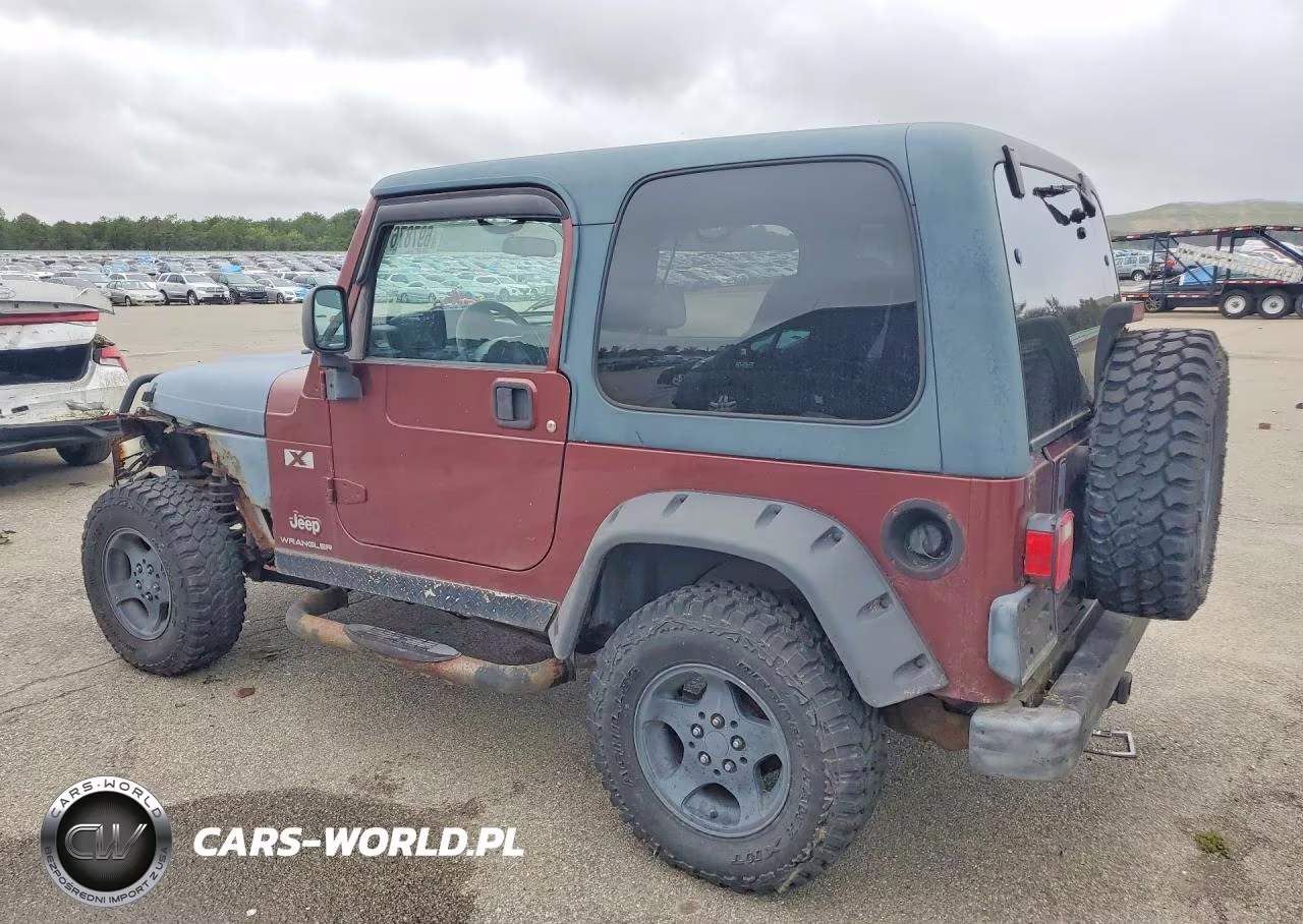 2003 Jeep Wrangler Commando VIN:1J4FA39S63P308597 - 2