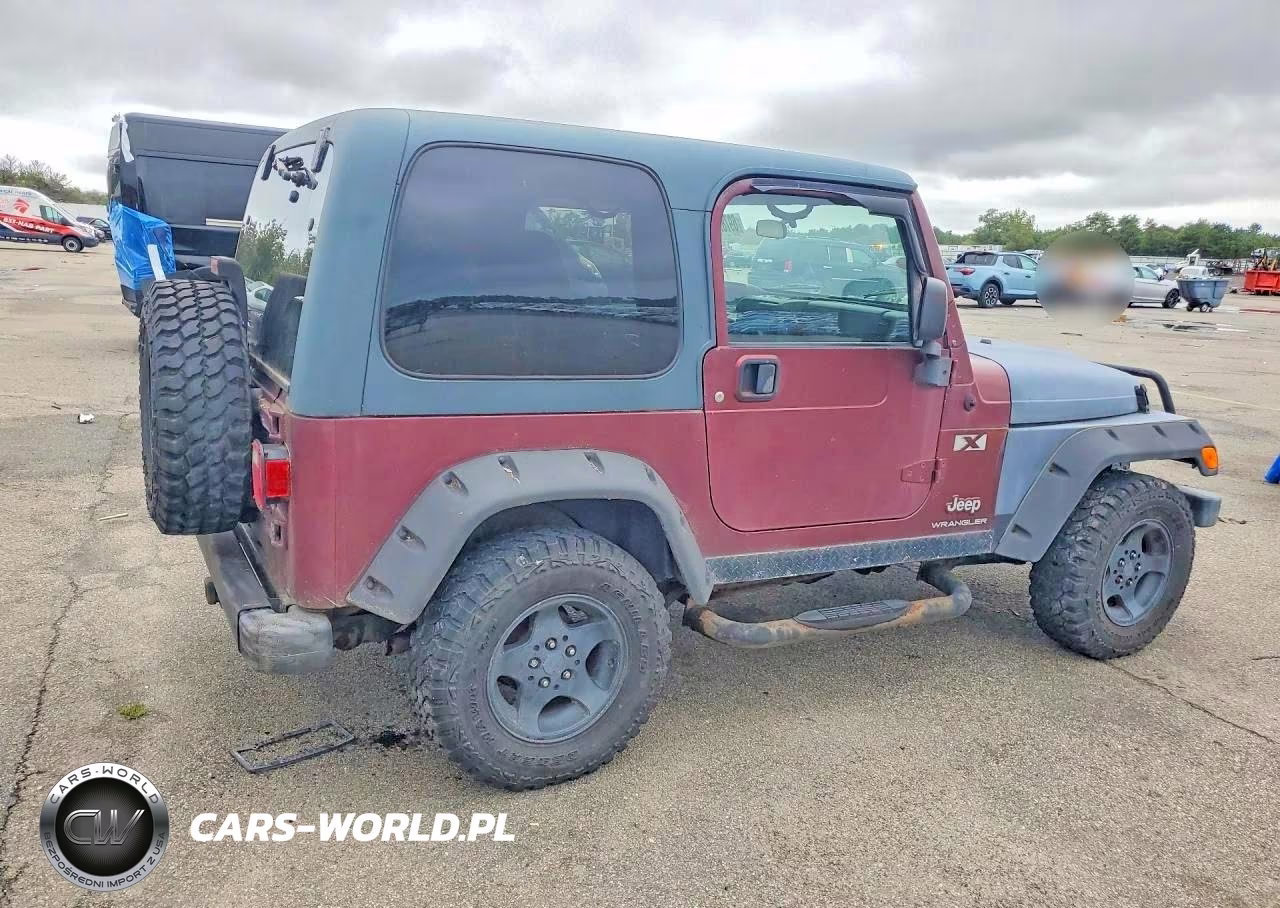 2003 Jeep Wrangler Commando VIN:1J4FA39S63P308597 - 3