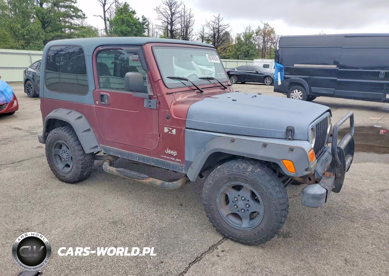 2003 Jeep Wrangler Commando VIN:1J4FA39S63P308597 - 4