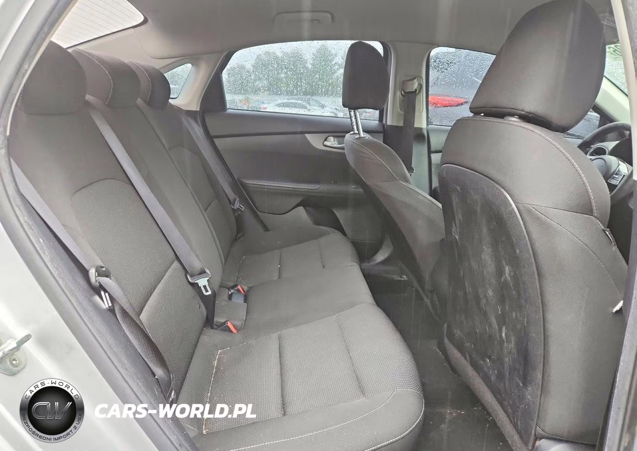 2019 Kia Forte Lxs VIN:3KPF24ADXKE099224 - 10