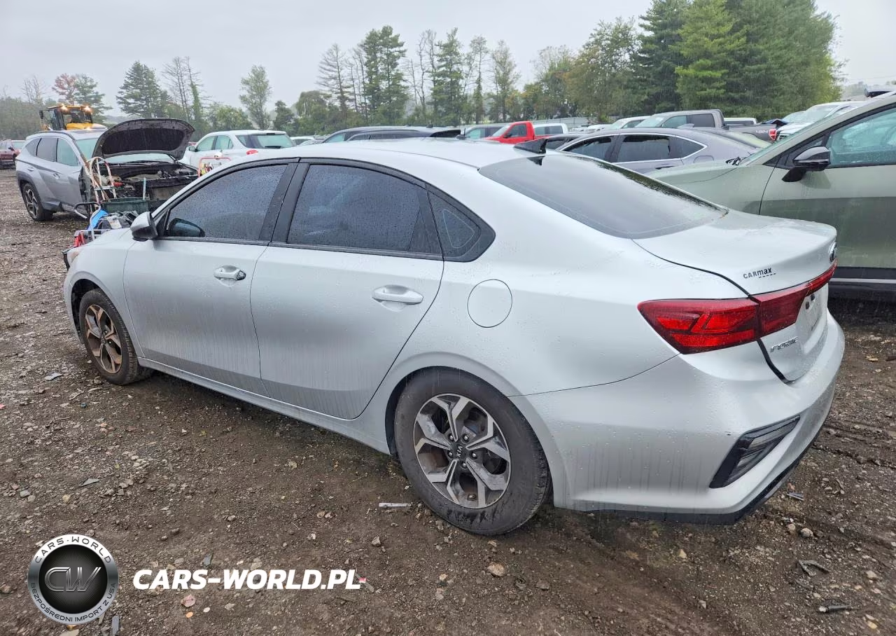 2019 Kia Forte Lxs VIN:3KPF24ADXKE099224 - 2
