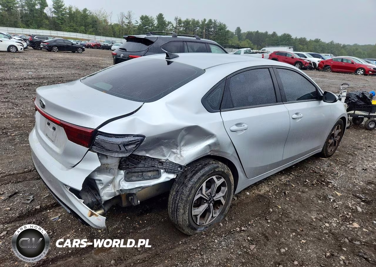 2019 Kia Forte Lxs VIN:3KPF24ADXKE099224 - 3
