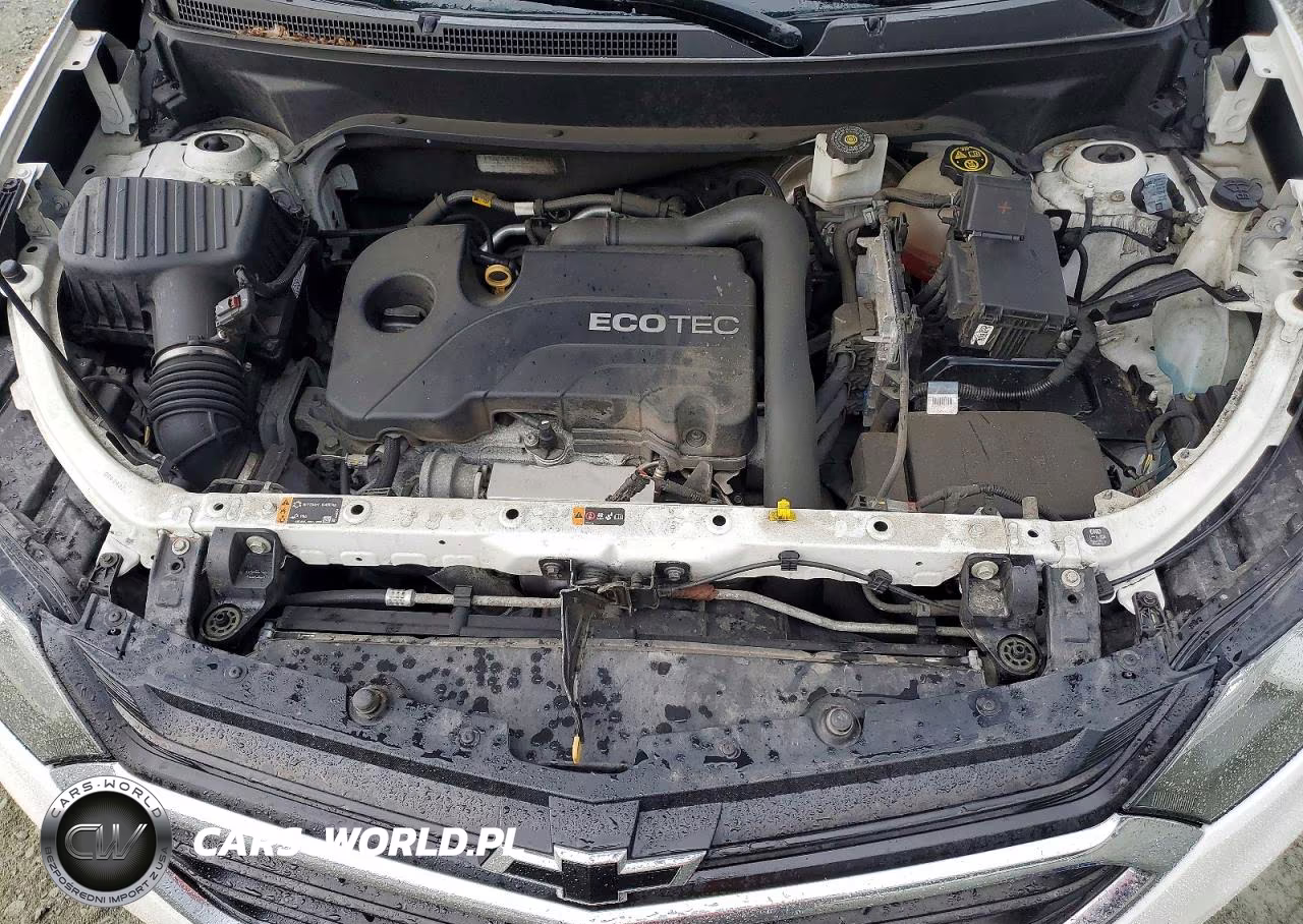 2020 Chevrolet Equinox Lt VIN:3GNAXJEV4LS524959 - 12