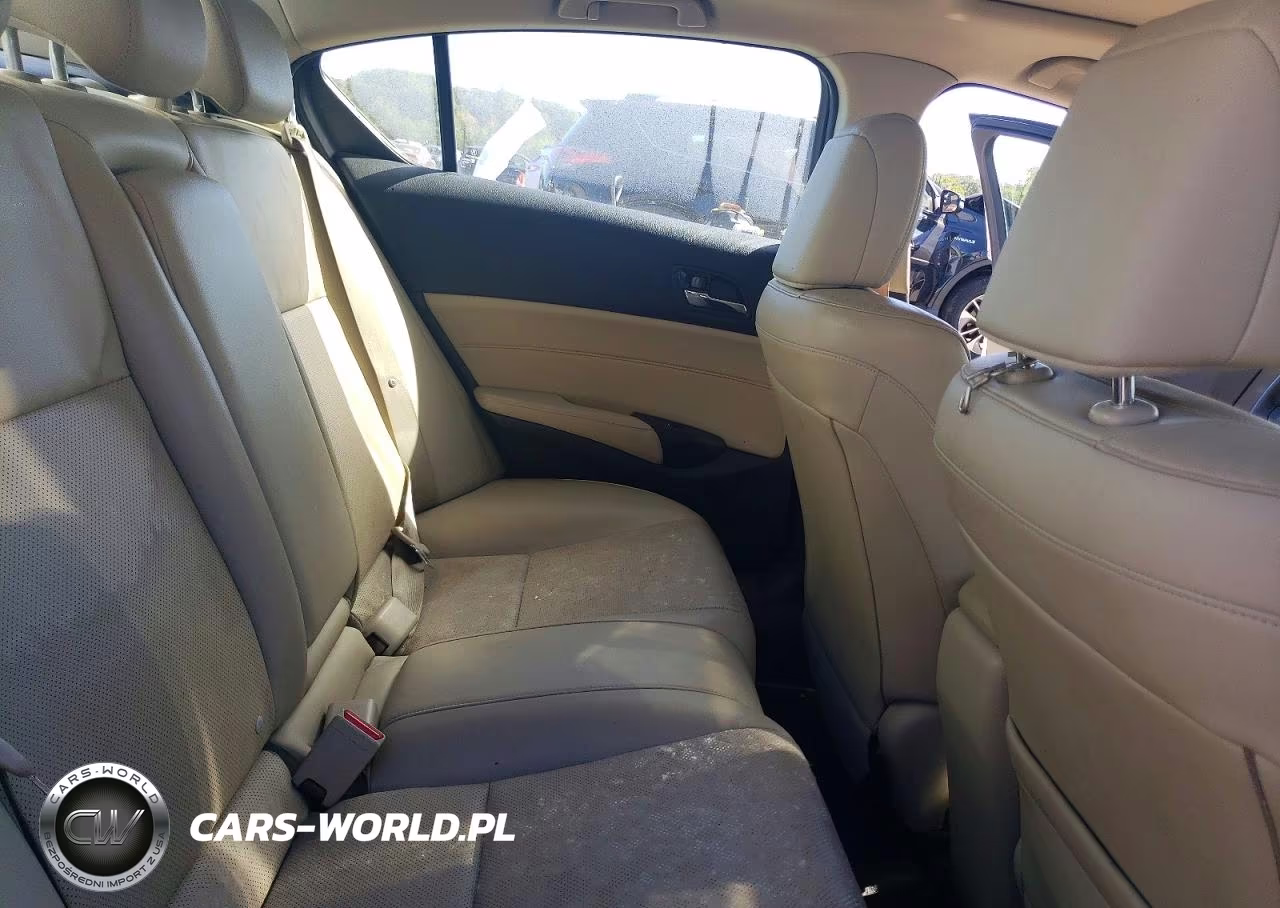 2013 Acura Ilx 20 Premium VIN:19VDE1F52DE014256 - 10