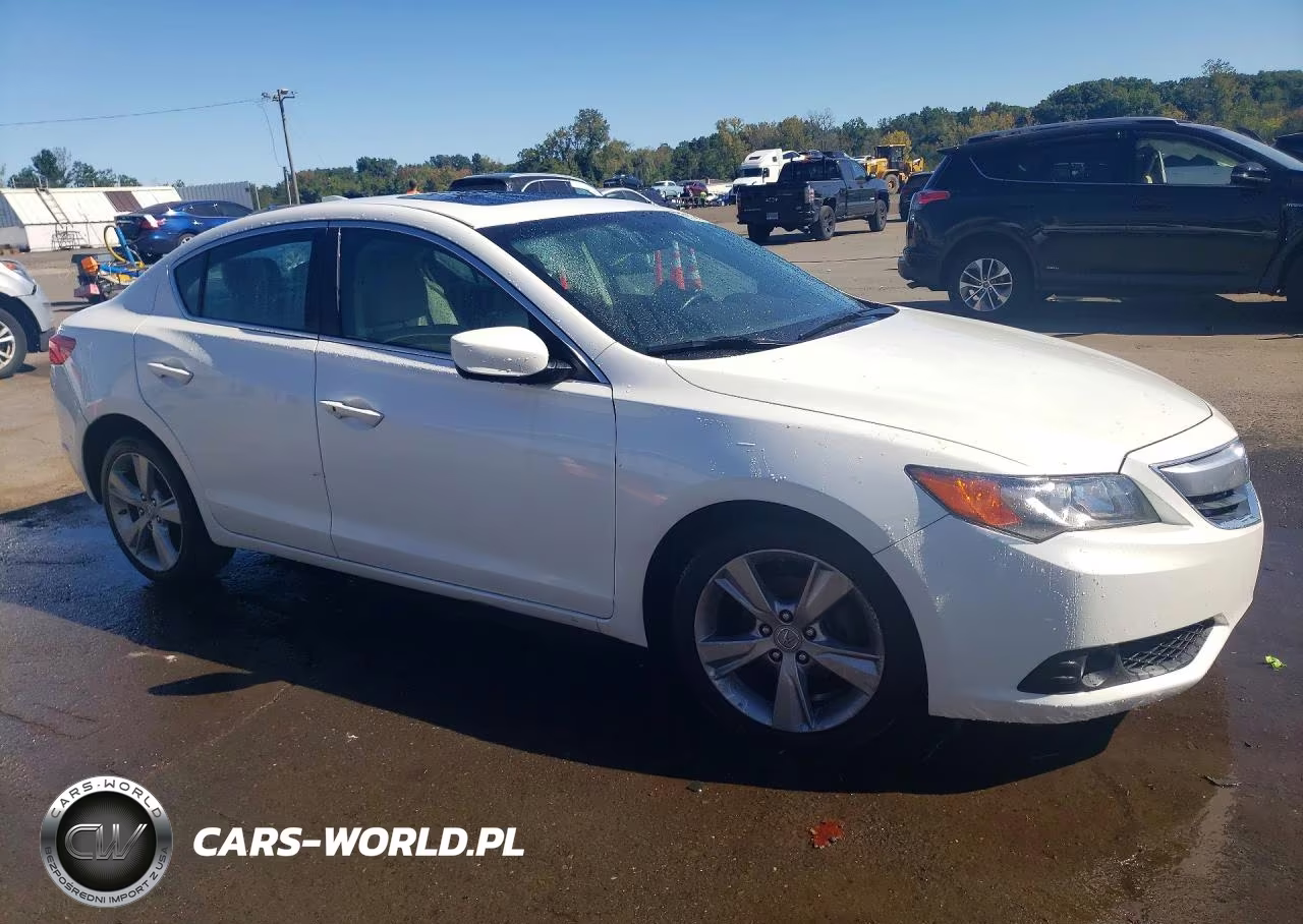 2013 Acura Ilx 20 Premium VIN:19VDE1F52DE014256 - 4