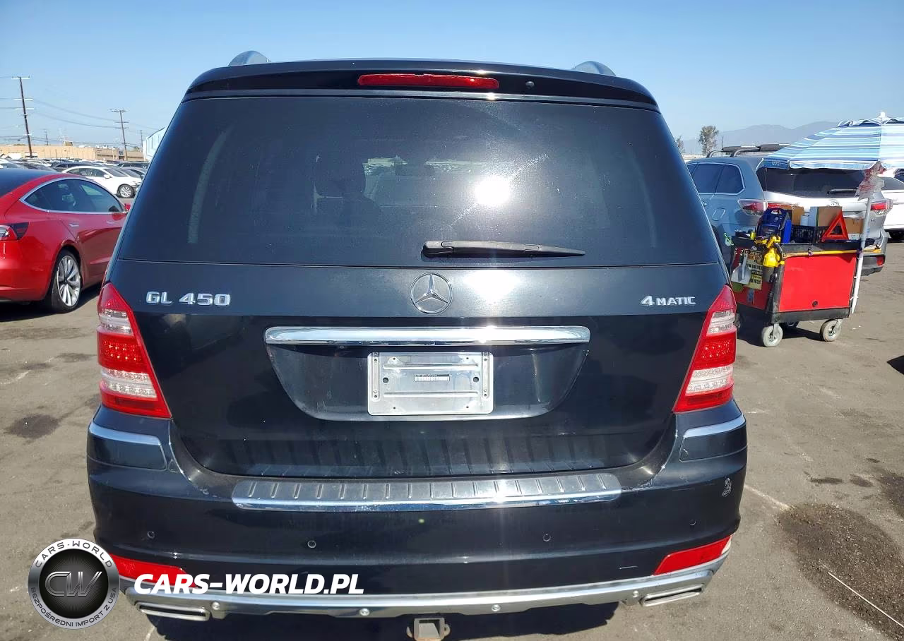 2010 Mercedes-Benz Gl 450 4Matic VIN:4JGBF7BEXAA581684 - 6