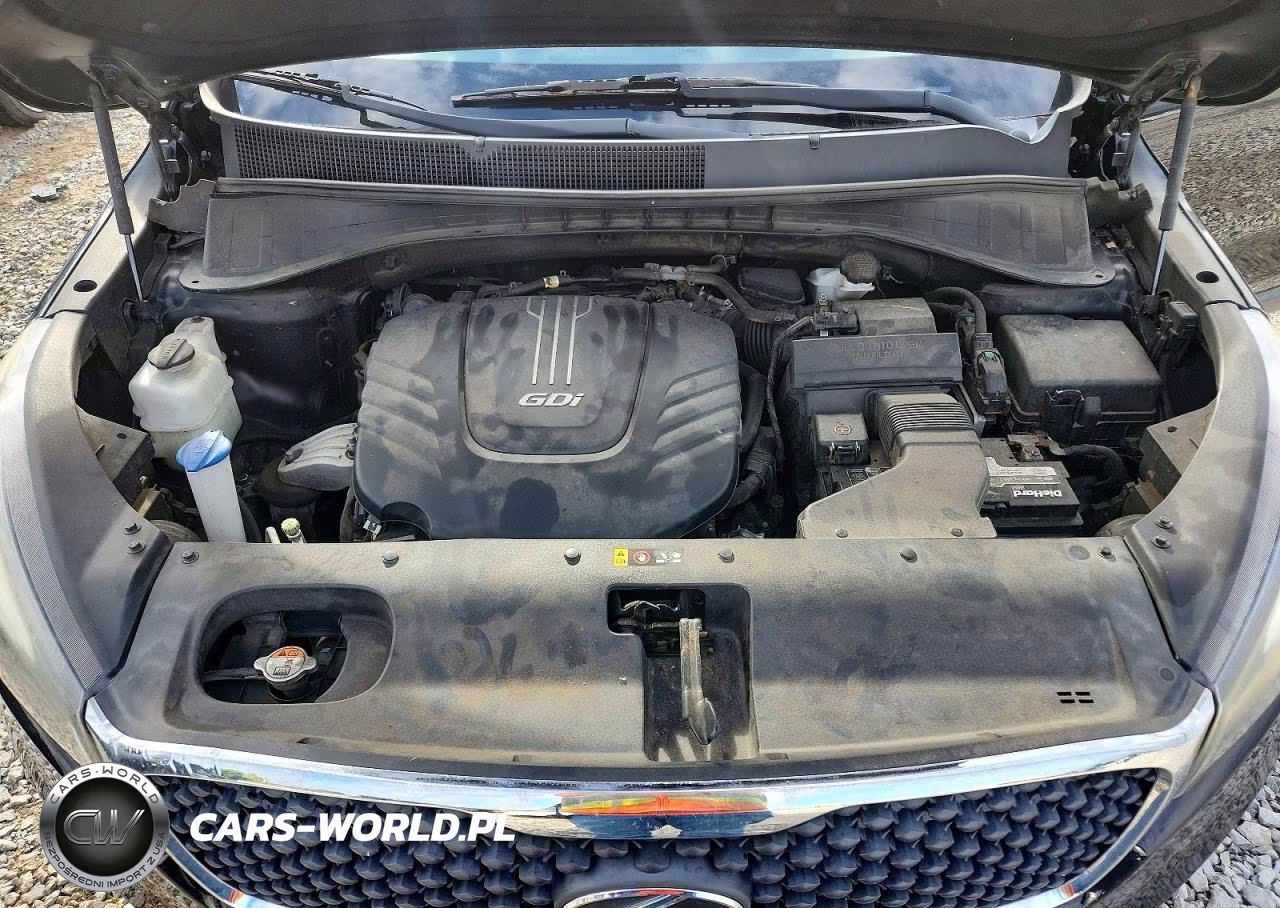 2017 Kia Sorento Lx V6 VIN:5XYPGDA51HG209801 - 12