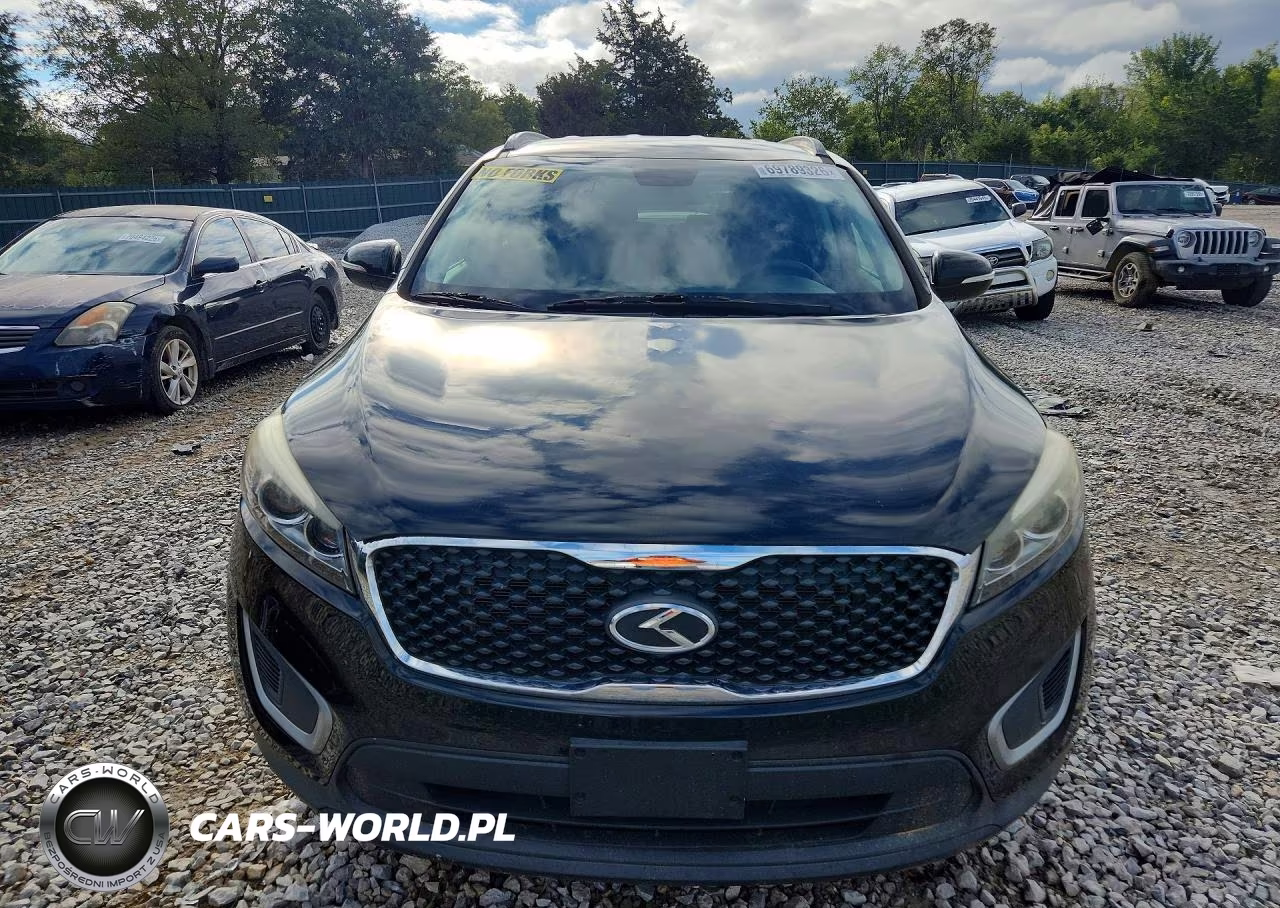 2017 Kia Sorento Lx V6 VIN:5XYPGDA51HG209801 - 5