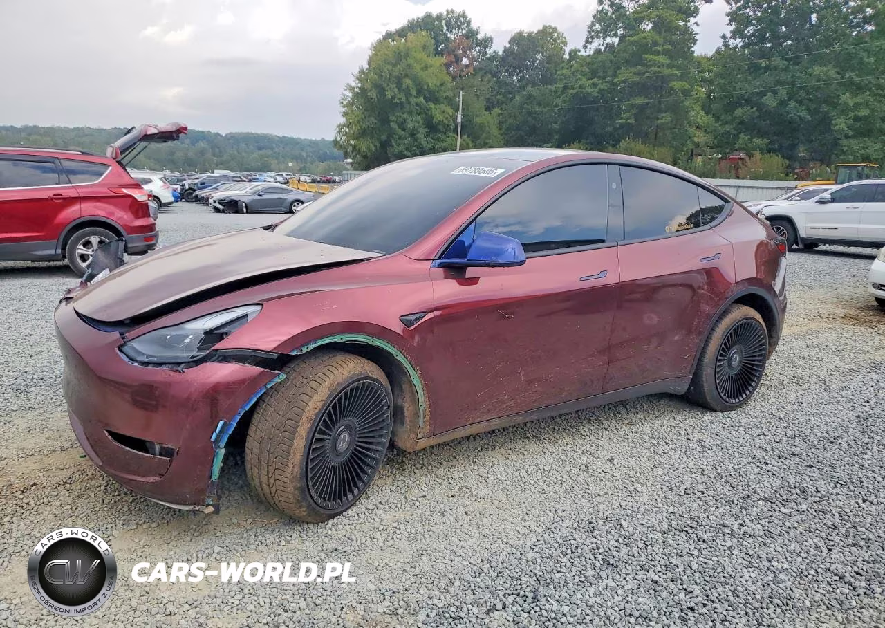 2024 Tesla Model Y VIN:7SAYGDEE8RA250319 - 1