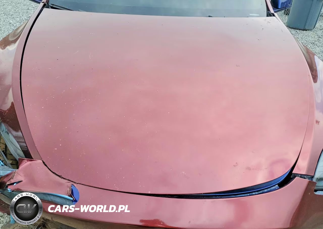 2024 Tesla Model Y VIN:7SAYGDEE8RA250319 - 11