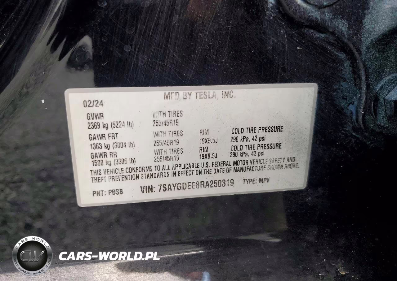 2024 Tesla Model Y VIN:7SAYGDEE8RA250319 - 12