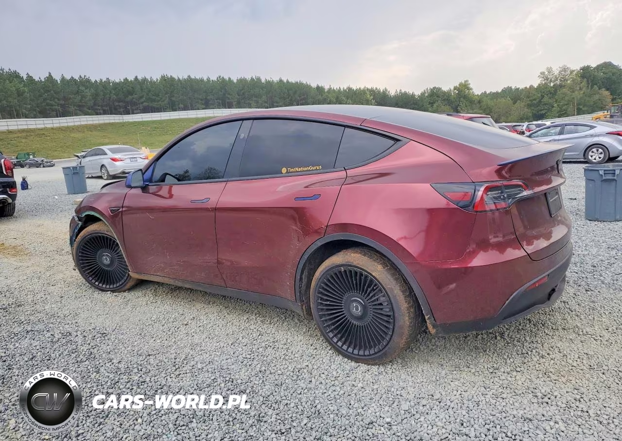2024 Tesla Model Y VIN:7SAYGDEE8RA250319 - 2