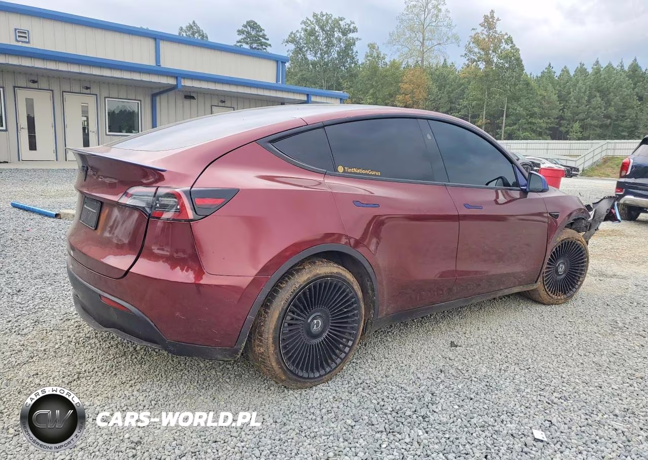 2024 Tesla Model Y VIN:7SAYGDEE8RA250319 - 3