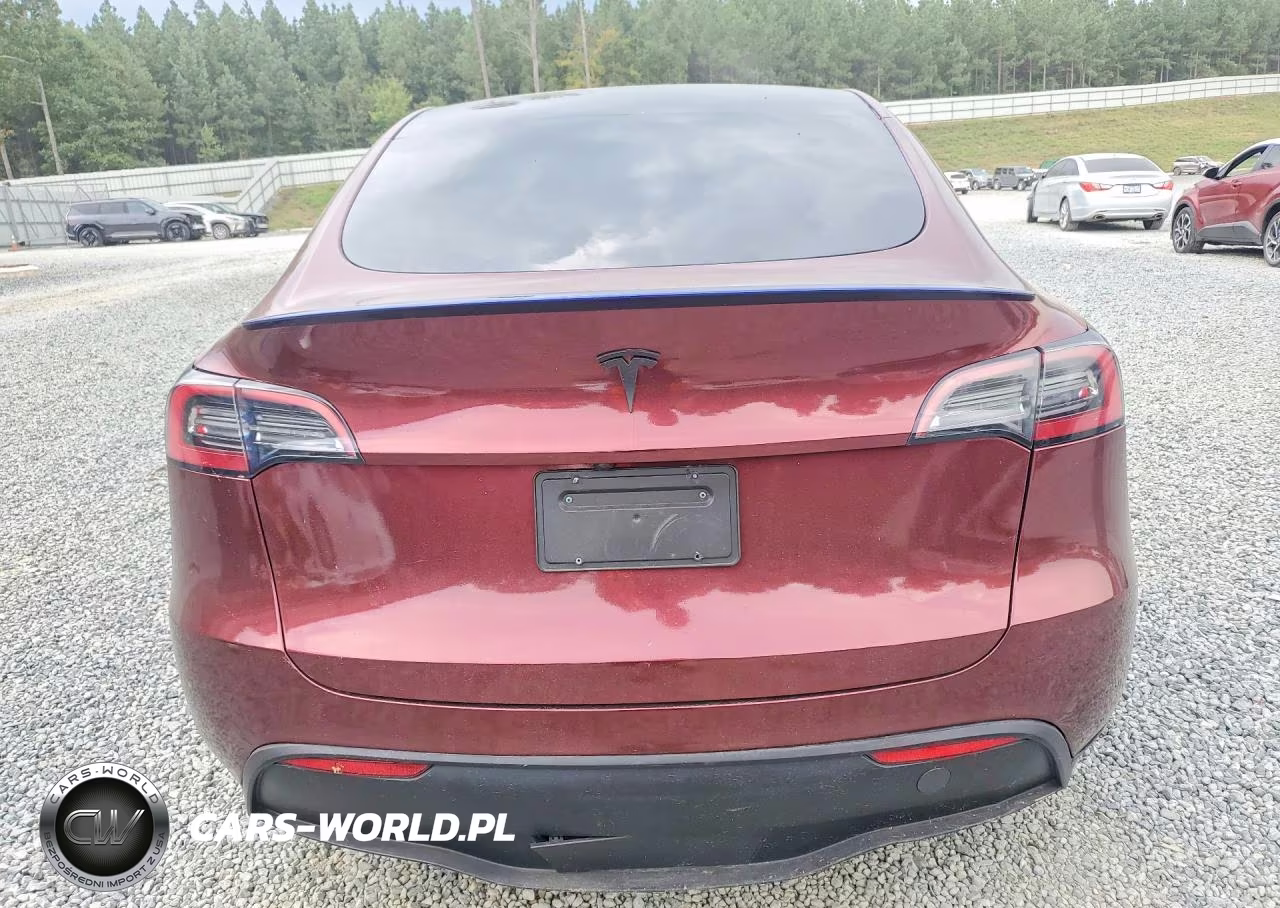 2024 Tesla Model Y VIN:7SAYGDEE8RA250319 - 6