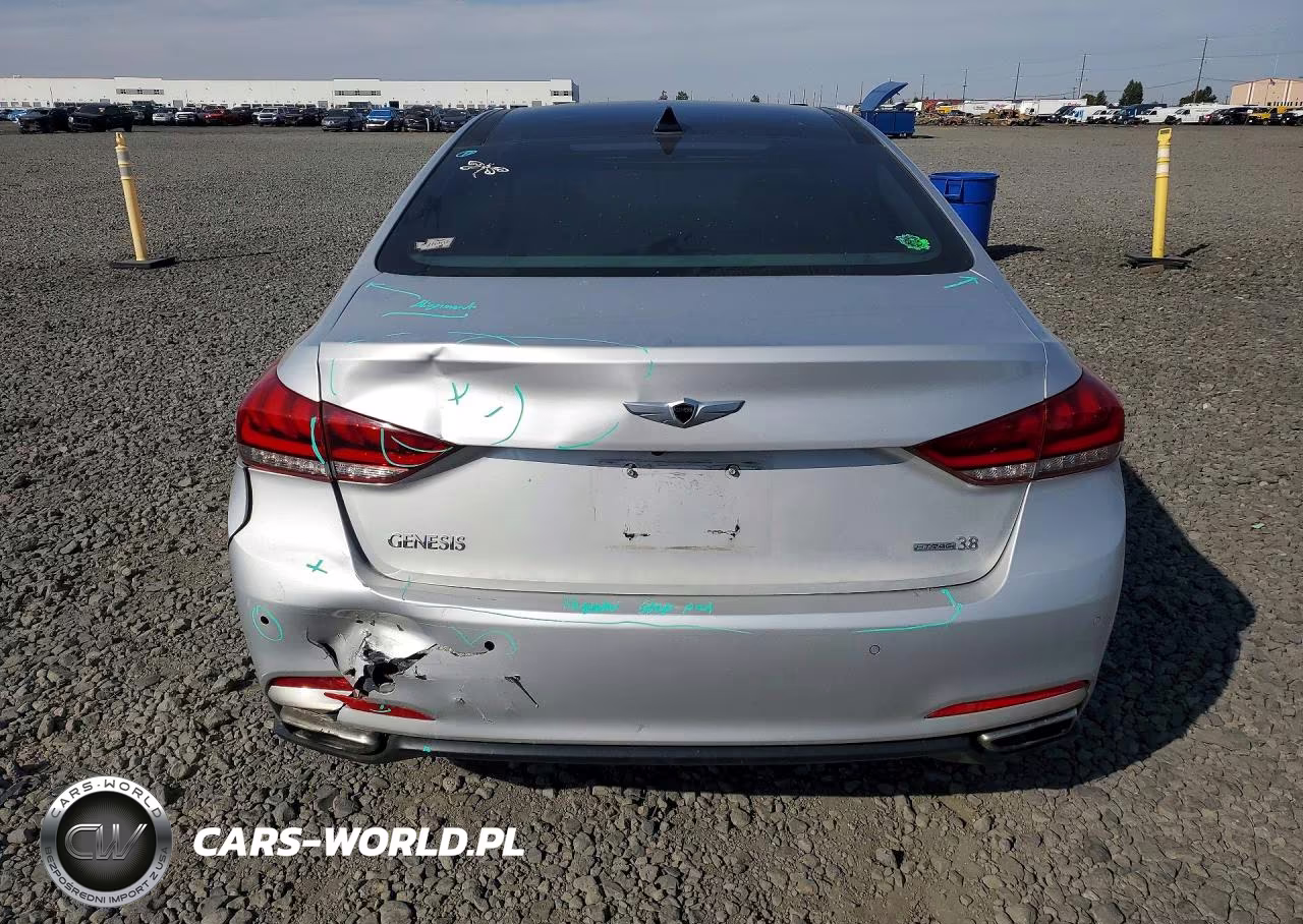2015 Hyundai Genesis 3.8L VIN:KMHGN4JEXFU033344 - 6