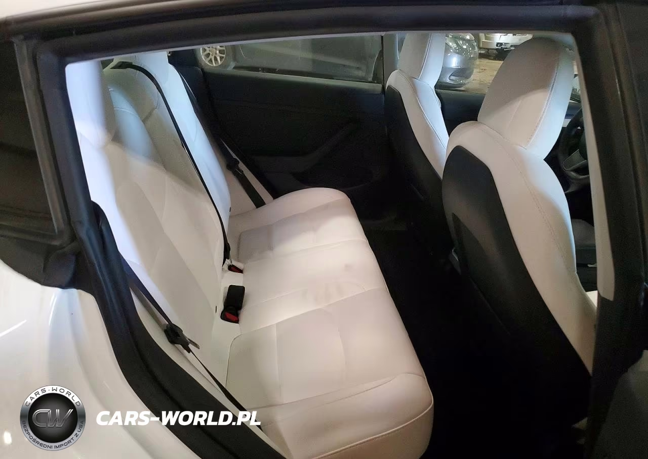 2021 Tesla Model 3 VIN:5YJ3E1EBXMF091994 - 10