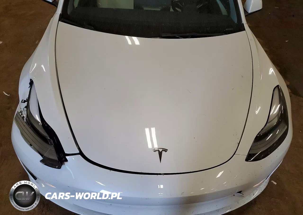 2021 Tesla Model 3 VIN:5YJ3E1EBXMF091994 - 11