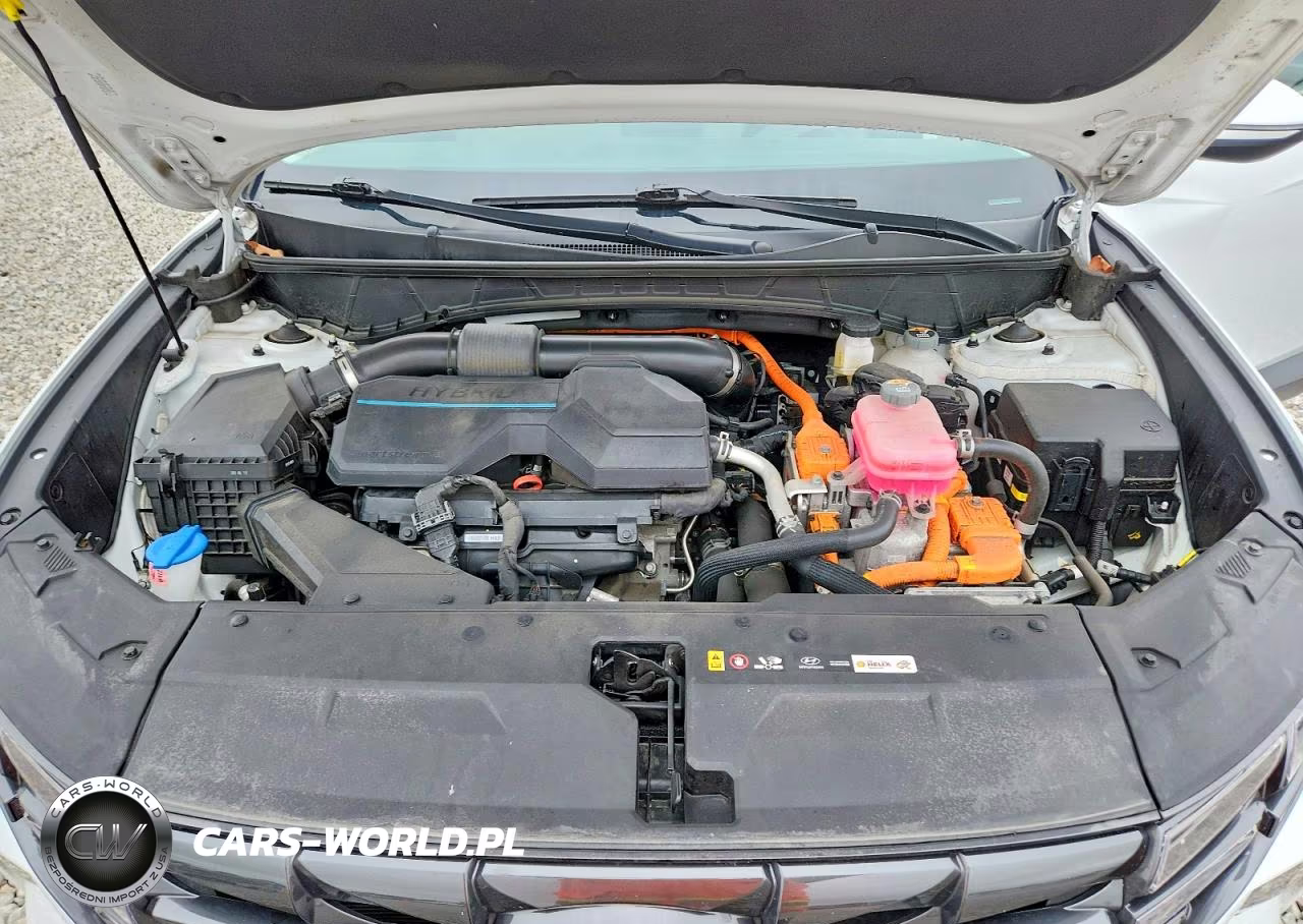 2024 Hyundai Tucson Sel Convenience VIN:KM8JCCD1XRU159819 - 12